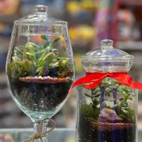 تراریومهای خاص|صنایع دستی و سایر لوازم تزئینی|مشهد, امیریه|دیوار