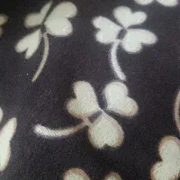 پرستار سالمند