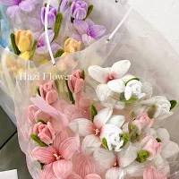 گل پینترسی|چراغ خواب و آباژور|رشت, سلیمانداراب|دیوار