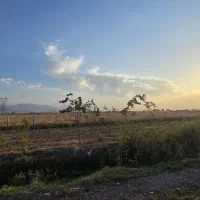 براتوبان گنبد مینودشت ۲۰۰۰متر