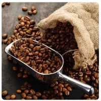 پخش عمده قهوه