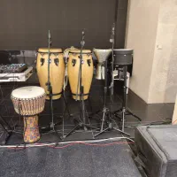 نوازنده سازهای ضربی و کوبه ای