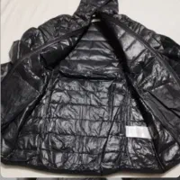 کاپشن|لباس|شازند, |دیوار