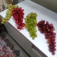 انگور زیبا