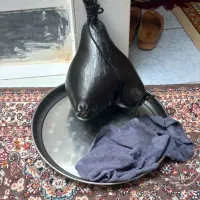 هیزه