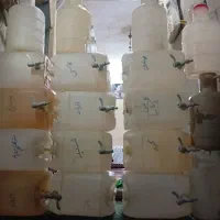 سلام دبه شیر دار سالم