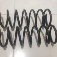 فنر لول عقب ساینا