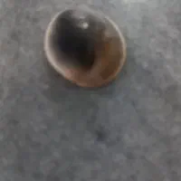 مهره|کلکسیون اشیاء عتیقه|پارس‌آباد, |دیوار