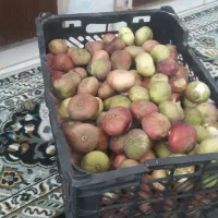 انجیر فوق خوشمزه