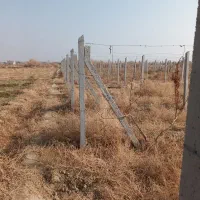 تیرچه باغی|مصالح و تجهیزات ساختمان|نوشین شهر, |دیوار