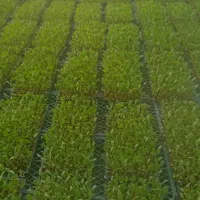 جذب نیرو کار