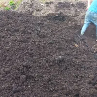 فروش خاک کمپوست اماده|خدمات باغبانی و درختکاری|فومن, |دیوار