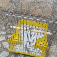 قفس پرنده