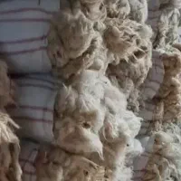 پشم بره سفید بدون اشغال و پشم بز