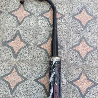 اگزوز قهرمانی‌