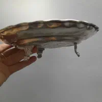 جای شیرینی|کلکسیون اشیاء عتیقه|بروجرد, |دیوار