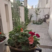 اجاره ای تراس بزرگ