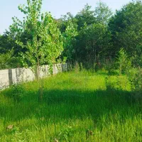 زمین تجاری مسکونی 400متر بر اتوبان زیباکنار|فروش زمین و ملک کلنگی|لشت نشا, |دیوار