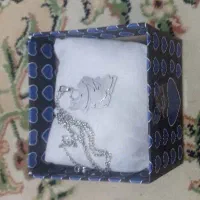 اکسسوری پلاک ایران