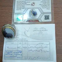 شجرفوق کلکسیونی