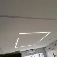 نصب و مونثاژ لاینر نوری توکار روکار|خدمات پیشه و مهارت|تهران, فلسطین (میدان انقلاب)|دیوار