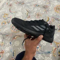 کفش آدیداس اصلی|کیف، کفش، کمربند|بندر گناوه, |دیوار