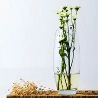 لیوان|ظروف سرو و پذیرایی|تهران, نصرت|دیوار