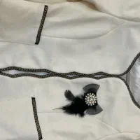 کت مجلسی نو
