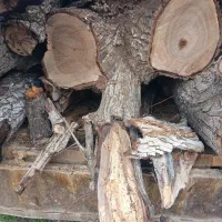 خرید چوب|خدمات باغبانی و درختکاری|تویسرکان, |دیوار