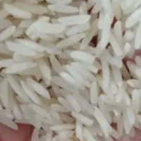 برنج طارم محلی|خوردنی و آشامیدنی|قم, تعویض پلاک|دیوار