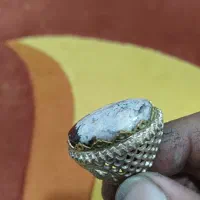 انگشتر شجر بهاره