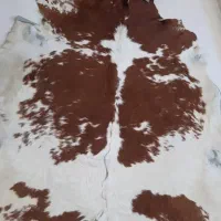 پوست گاو دباغی شده|فرش|پرند, فاز ۶|دیوار