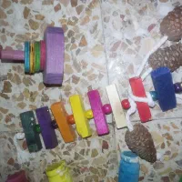 قفس مدل 1033ب همراه  اسباب بازی و تجهیزات پرنده|لوازم جانبی حیوانات|دهدشت, |دیوار