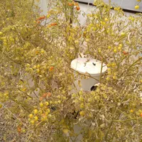تجهیزات گلخانه ای