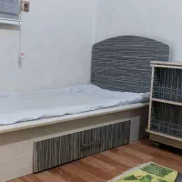 فروش سرویس تختخواب نوزاد نوجوان ویژن|تخت و صندلی بچه|بندرعباس, |دیوار