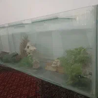 آکواریوم ضخیم
