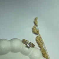 بدلیجات رنگ ثابت|بدلیجات|یزد, |دیوار