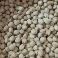 فروش نخود بذری قیمت مناسب