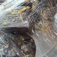 خرمای کبکاب بوشهر