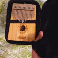 کالیمبا جکو|سازهای سنتی|پردیس, فاز ۸|دیوار