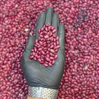 حبوبات سقائی با بسته بندی و پیک رایگان
