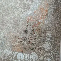 فرش 1/2|فرش|مشهد, کوی دروی|دیوار