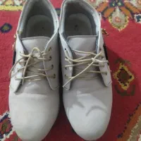 کفش|کیف، کفش، کمربند|یاسوج, |دیوار