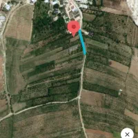 فروش-باغ-کاکان