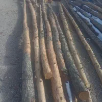 پل چوبی|حراج|تایباد, |دیوار