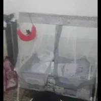 گهواره نوزاد نونو