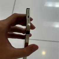 iphone 12 pro max|موبایل|اردبیل, |دیوار