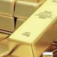 پرداخت سرمایه