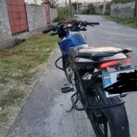 پالس ۱۳۵ عروسک