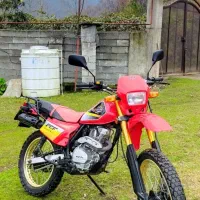 موتور پیشرو XL